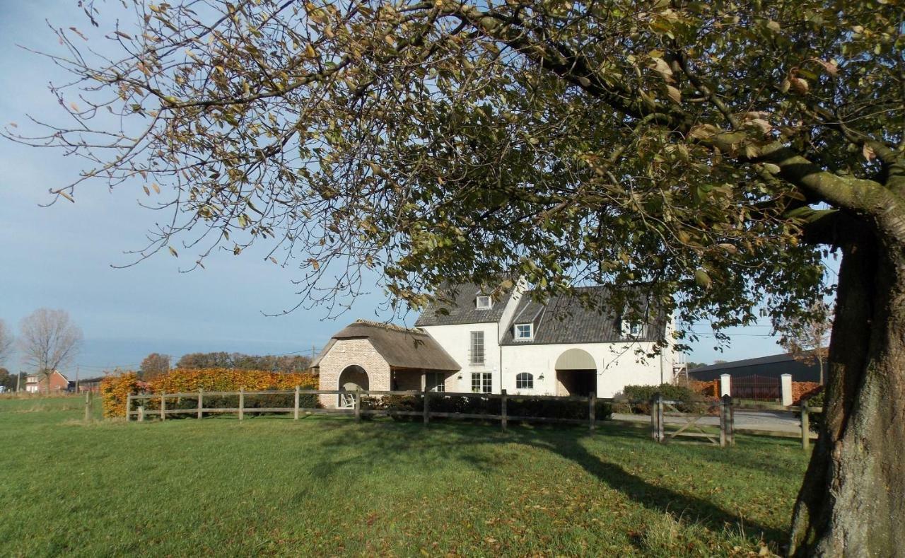 Bed and Breakfast De Weide Poort à Beerse Extérieur photo